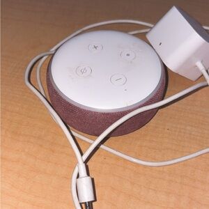 Amazon Echo Dot with White and Brown Design